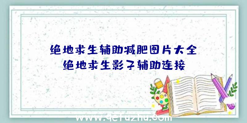 「绝地求生辅助减肥图片大全」|绝地求生影子辅助连接